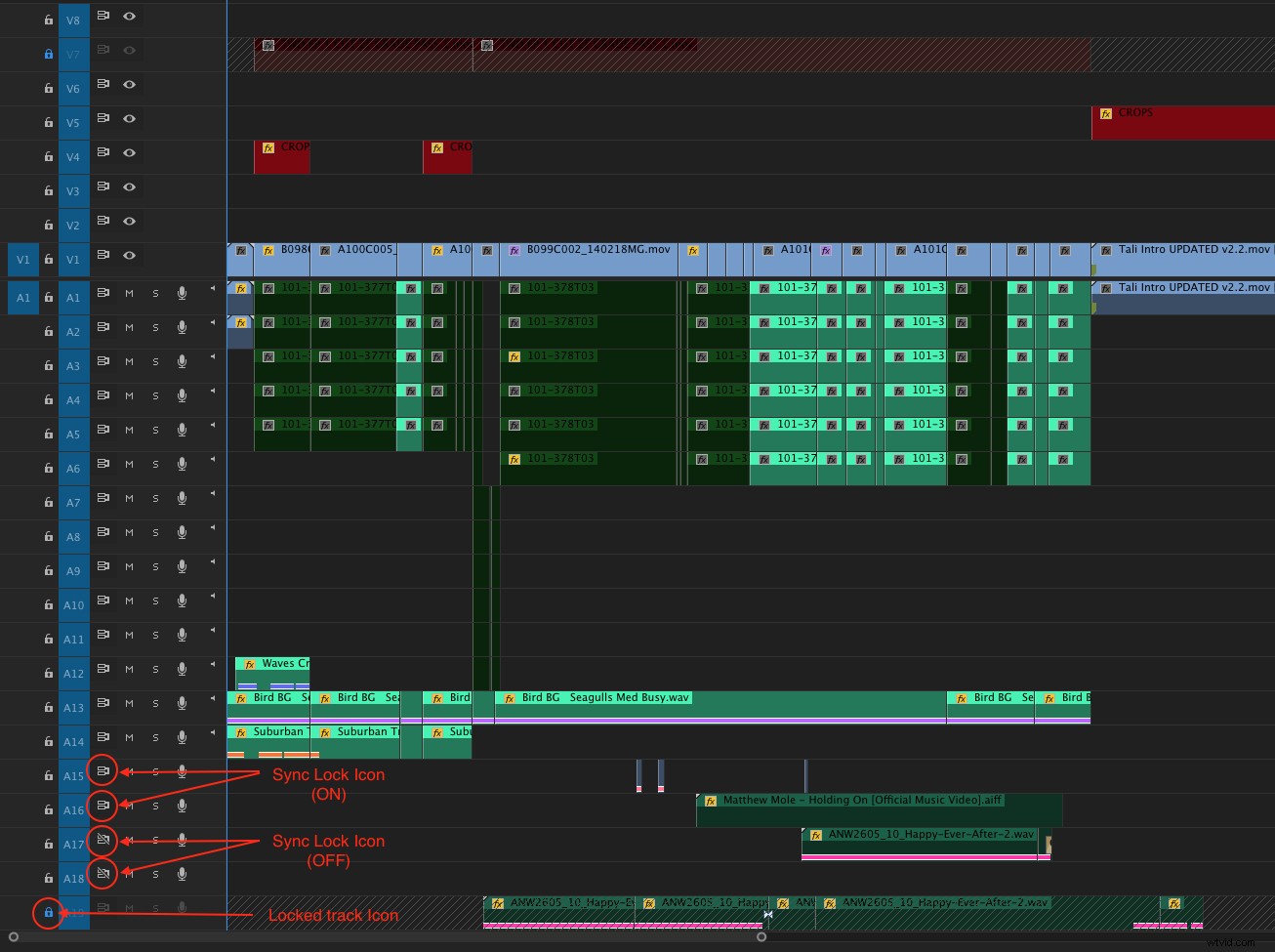Master Sync Locks: Prevent Timeline Chaos in Avid Media Composer & Premiere Pro