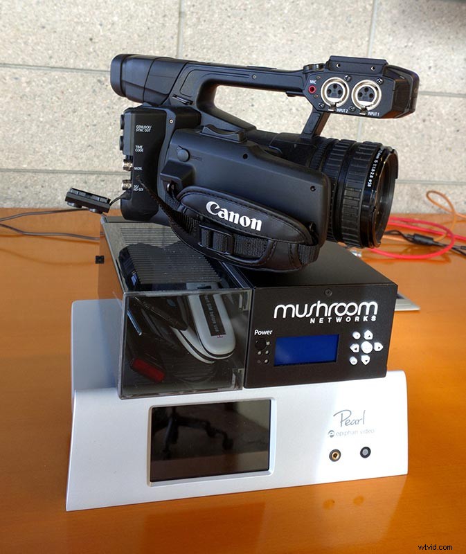 Reliable Wireless LTE Streaming for Live Events with Pearl and Mushroom Networks