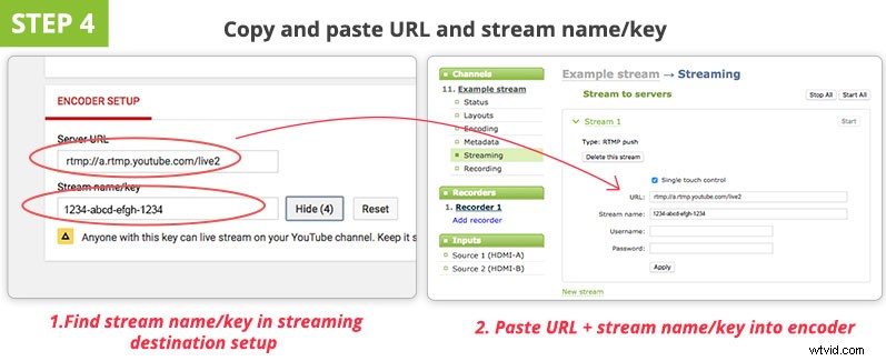 Live Streaming for Beginners: Your Essential Survival Guide