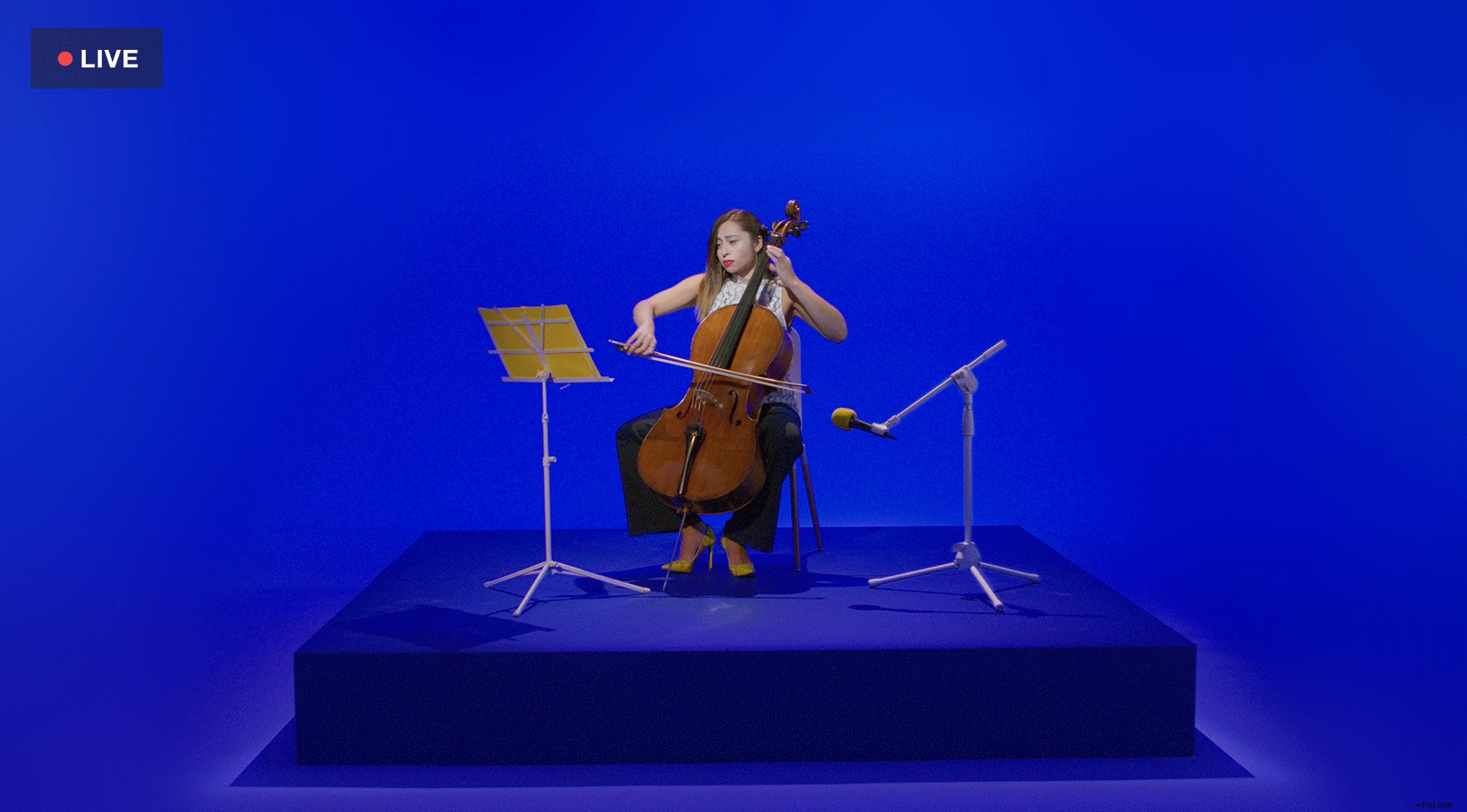 Maximize Audience Engagement: Expert Strategies for Live Video Success