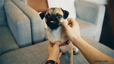 10 Essential Camera Shots in Film: Master Cinematography Techniques