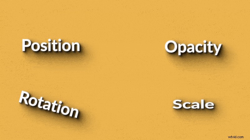Master the Wiggle Expression in After Effects: Effortless Random Movement Without Keyframes