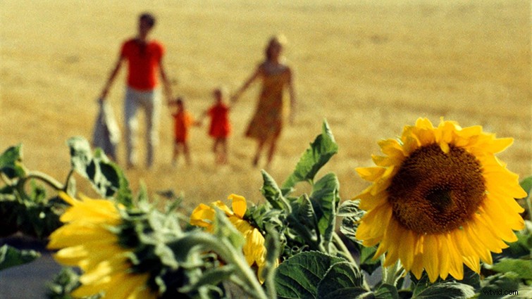 Top 5 Visually Warm and Nostalgic Films That Captivate with Timeless Charm