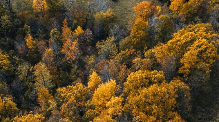 Datamoshing 101: Master Trippy Glitch Effects for Your Video Footage