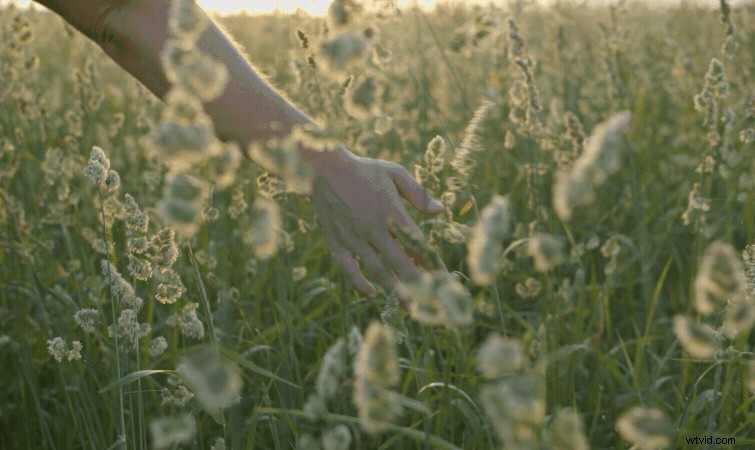 Datamoshing 101: Master Trippy Glitch Effects for Your Video Footage