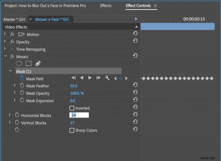 How to Blur Faces in Adobe Premiere Pro: Mosaic Effect Tutorial