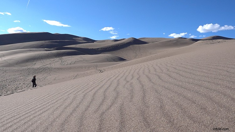 Layer Text Behind Objects in Adobe Premiere Pro: Easy Compositing Tutorial