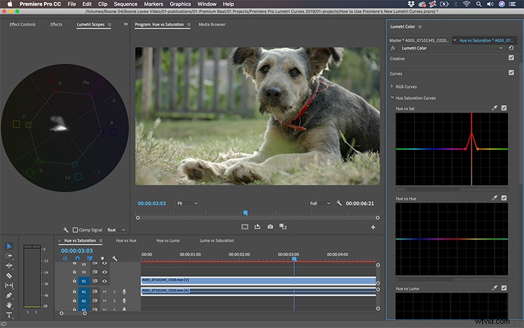 Master Premiere Pro 2019 Lumetri Curves: Hue, Saturation & Luminance Video Tutorial