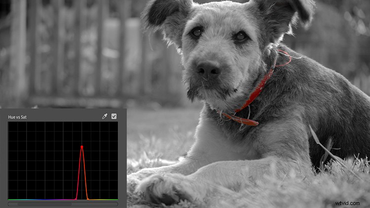 Master Premiere Pro 2019 Lumetri Curves: Hue, Saturation & Luminance Video Tutorial