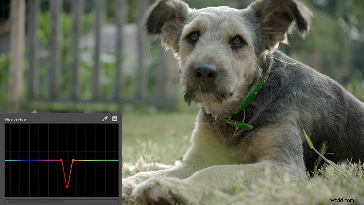 Master Premiere Pro 2019 Lumetri Curves: Hue, Saturation & Luminance Video Tutorial