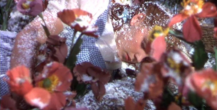 Master Creative Bokeh Effects: Free Prism Overlays Tutorial for Premiere Pro