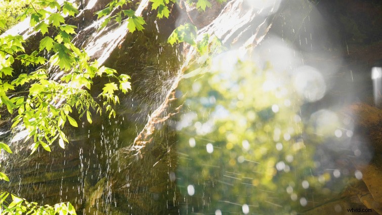 Master Creative Bokeh Effects: Free Prism Overlays Tutorial for Premiere Pro