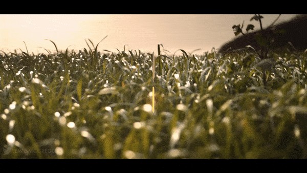 DaVinci Resolve vs. Adobe Premiere Pro: Text Effects & Titles Showdown