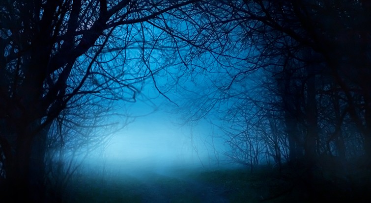 Discover 400+ Free & Premium Halloween Assets for Your Next Horror Film