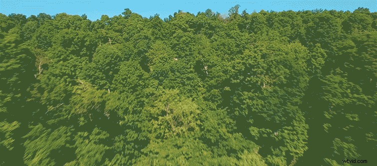 Create Stunning Dronie Loops in After Effects: Expert Tutorial with Free Project Files