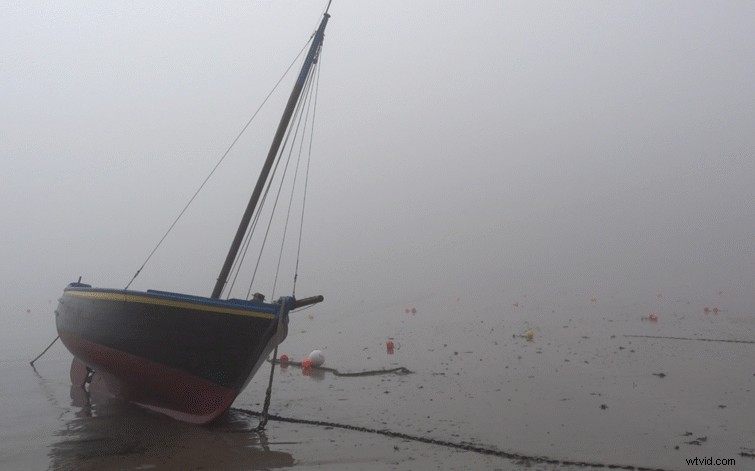 6 Expert Tips to Make Text Graphics Stand Out in Premiere Pro