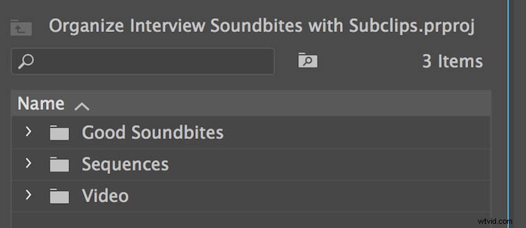 Streamline Interview Editing: Organize with Subclips in Adobe Premiere Pro