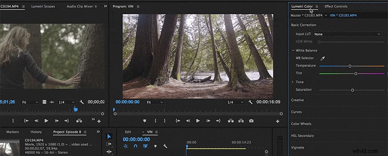 Elevate Your Footage: Master Vignettes in Post-Production