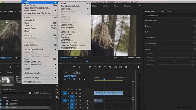 Elevate Your Footage: Master Vignettes in Post-Production