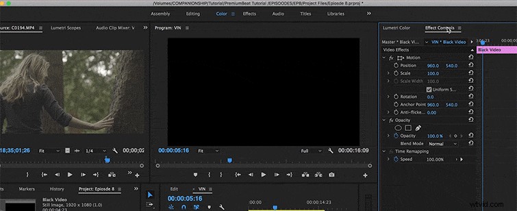 Elevate Your Footage: Master Vignettes in Post-Production