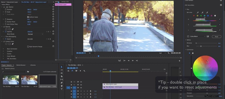 Master Seasonal Transformations: Color Grading Tutorial in Adobe Premiere Pro