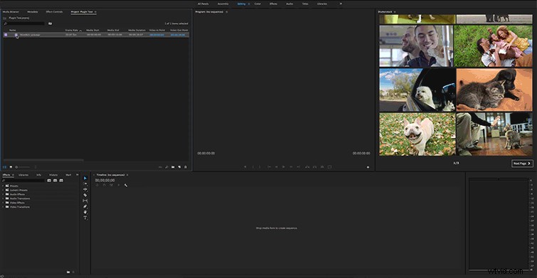 Shutterstock s Free Plugin: Unlock 8M+ 4K & HD Video Clips in Adobe Premiere Pro