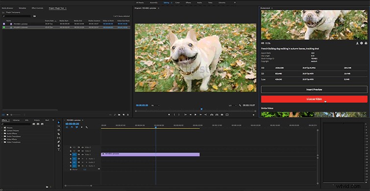 Shutterstock s Free Plugin: Unlock 8M+ 4K & HD Video Clips in Adobe Premiere Pro