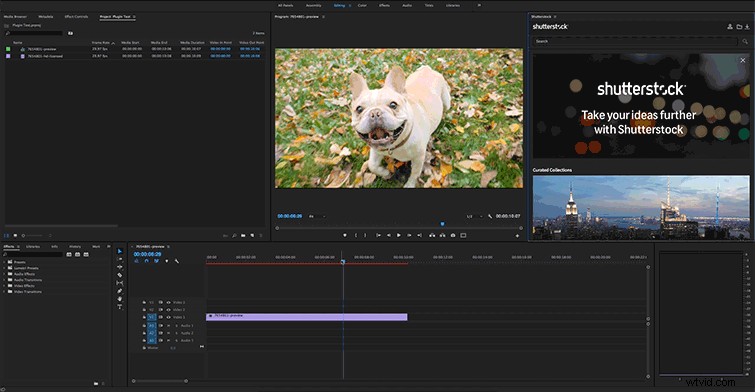 Shutterstock s Free Plugin: Unlock 8M+ 4K & HD Video Clips in Adobe Premiere Pro