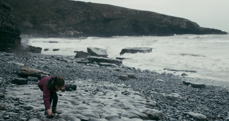 DaVinci Resolve 16 Object Removal Tool Review: Does It Rival Adobe Content Aware Fill?