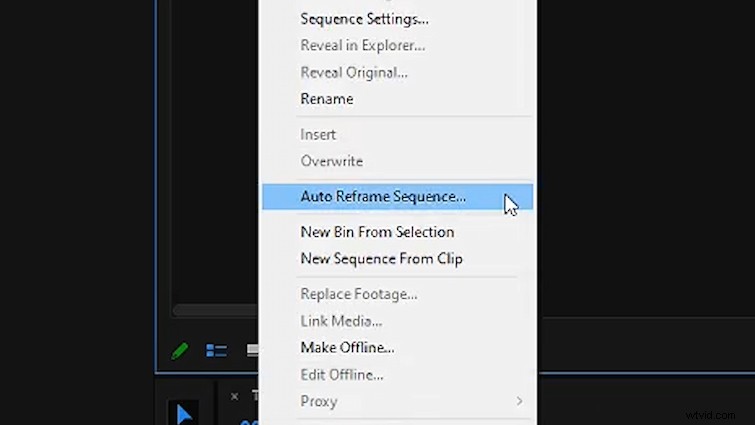 4 Expert Tips: Transform Horizontal Footage into Vertical Videos in Premiere Pro