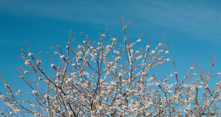 Does a Circular Polarizer Filter Cause Digital Noise? Myths Debunked