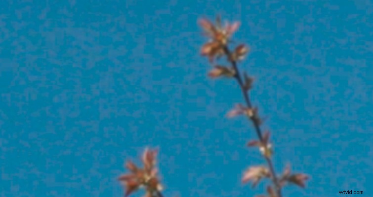 Does a Circular Polarizer Filter Cause Digital Noise? Myths Debunked