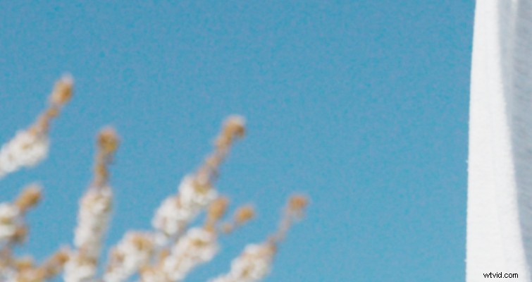 Does a Circular Polarizer Filter Cause Digital Noise? Myths Debunked