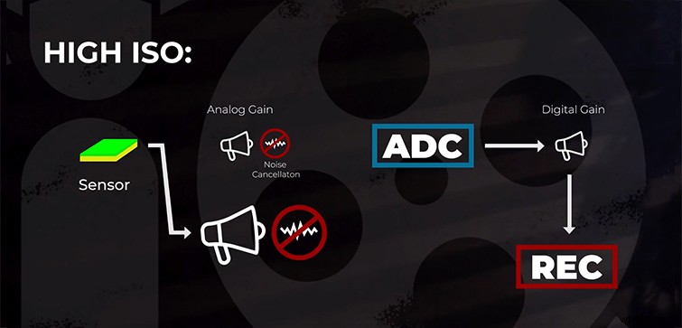 Dual Native ISO Explained: The Ultimate Guide for Photographers