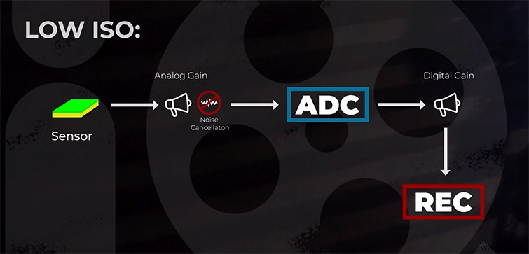 Dual Native ISO Explained: The Ultimate Guide for Photographers