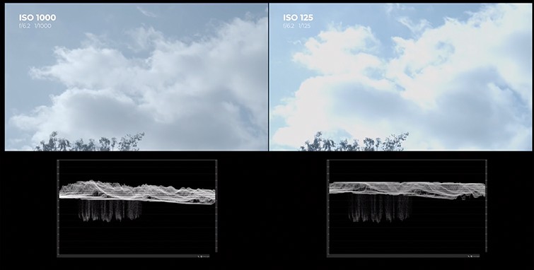 Dual Native ISO Explained: The Ultimate Guide for Photographers