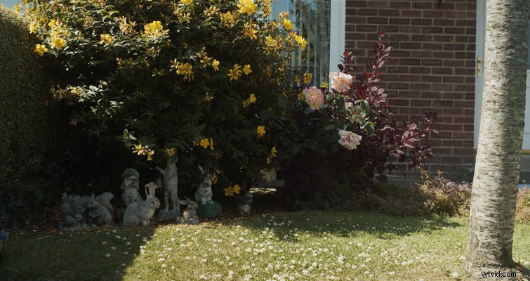 BMPCC 4K Guide: Constant Bitrate vs. Constant Quality in Blackmagic RAW Explained