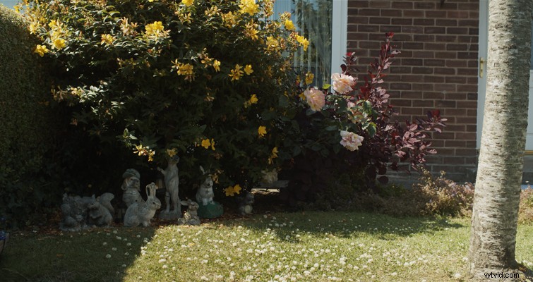 BMPCC 4K Guide: Constant Bitrate vs. Constant Quality in Blackmagic RAW Explained