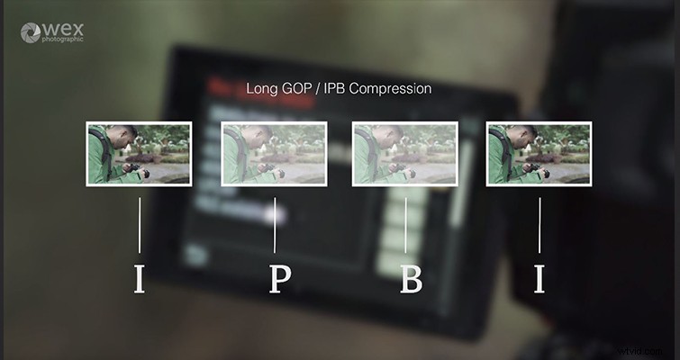 Panasonic GH5 V2.0 Firmware Update: Long GOP vs. ALL-Intra Compression Explained