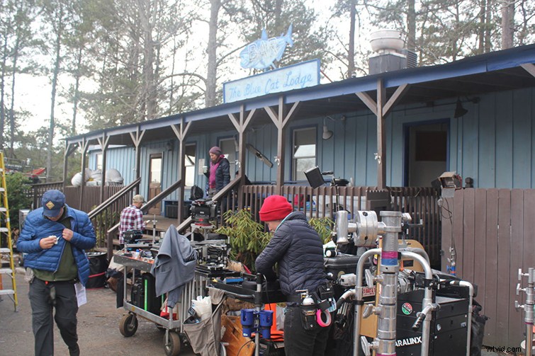 Netflix s Officially Approved Cameras: Powering Original Films and Series