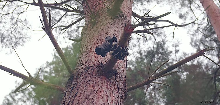 5 Expert Ways to Maximize Your GorillaPod Tripod for Stunning Shots