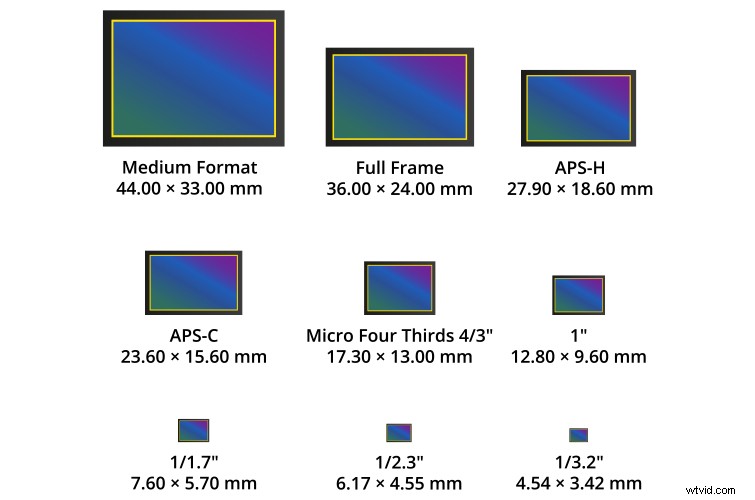 Canon EOS M50: Why This Sub-$1000 4K Mirrorless Camera Exceeds Expectations