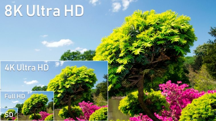 8K Video: Does It Matter Today? Should Filmmakers Embrace It Now?