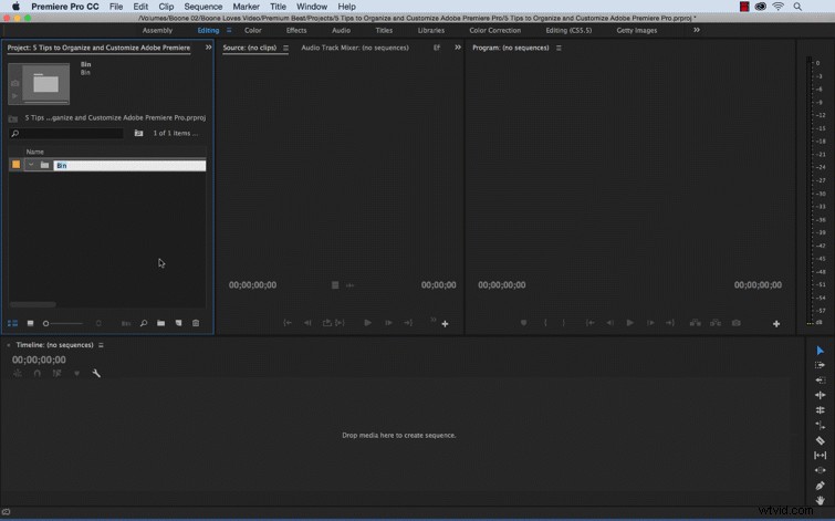 5 Expert Tips to Organize and Customize Adobe Premiere Pro for Peak Efficiency