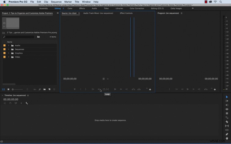 5 Expert Tips to Organize and Customize Adobe Premiere Pro for Peak Efficiency