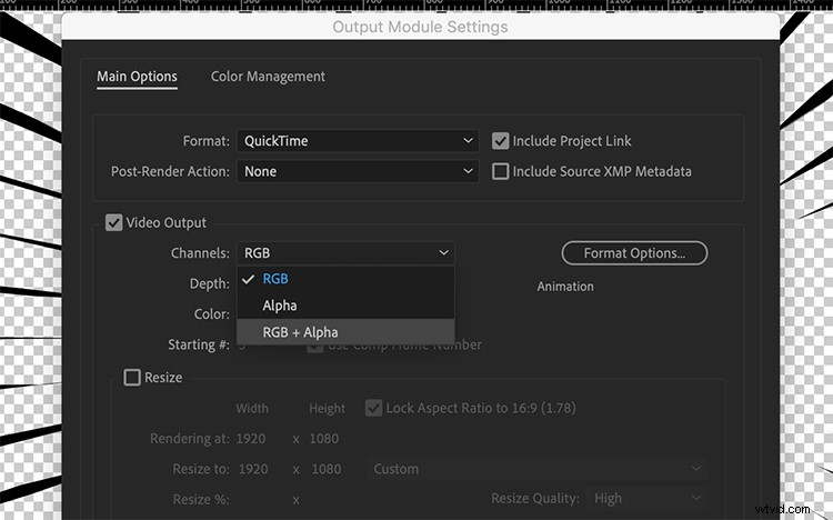 How to Export Videos with Alpha Channel for Seamless Transparency in After Effects