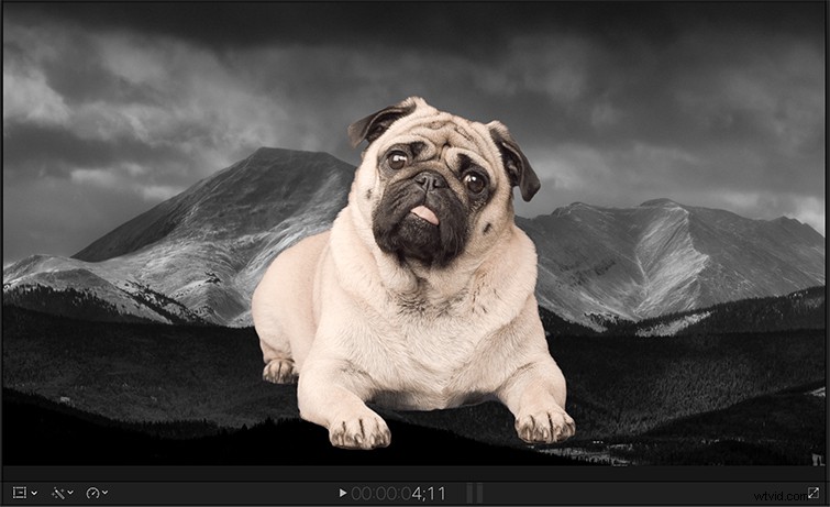 Master Green Screen Keying in Final Cut Pro X: Pro Step-by-Step Guide