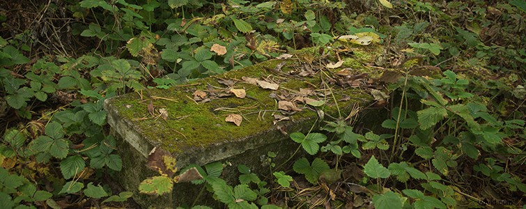 Craft Authentic Fantasy Props: Easy DIY Medieval Ideas for Epic Sets