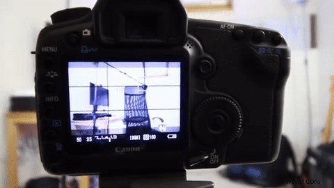 Master Autofocus on Your DSLR or Mirrorless Camera: 3 Simple Steps