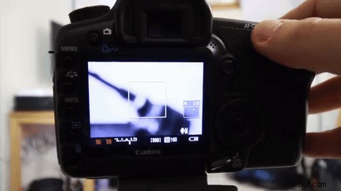 Master Autofocus on Your DSLR or Mirrorless Camera: 3 Simple Steps